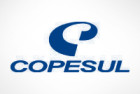 Copesul – Magna